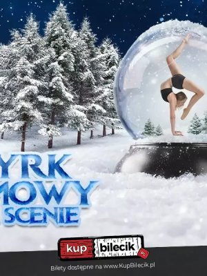 Cyrk Zimowy na scenie