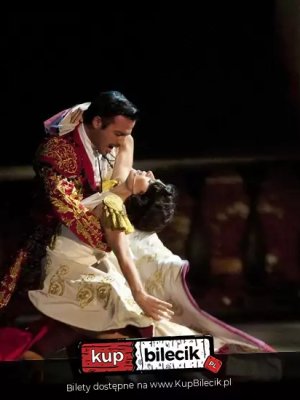 Polita - musical w 3D live o Poli Negri