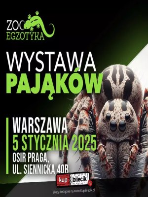 Wystawa Pająków - Fascynujące Spotkanie w Warszawie