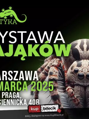 Wystawa Pająków w Warszawie - odkryj fascynujący świat