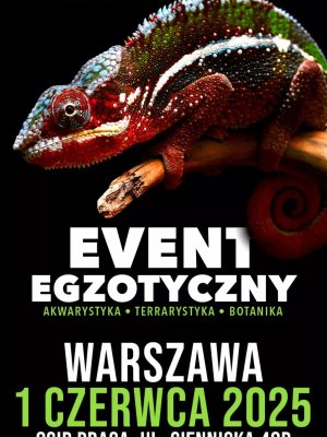 ZooEgzotyka - targi egzotycznych zwierząt w Warszawie