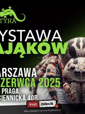 Wystawa Pająków - emocjonująca ekspozycja w Warszawie