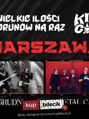 Pioruny - koncert w Warszawie